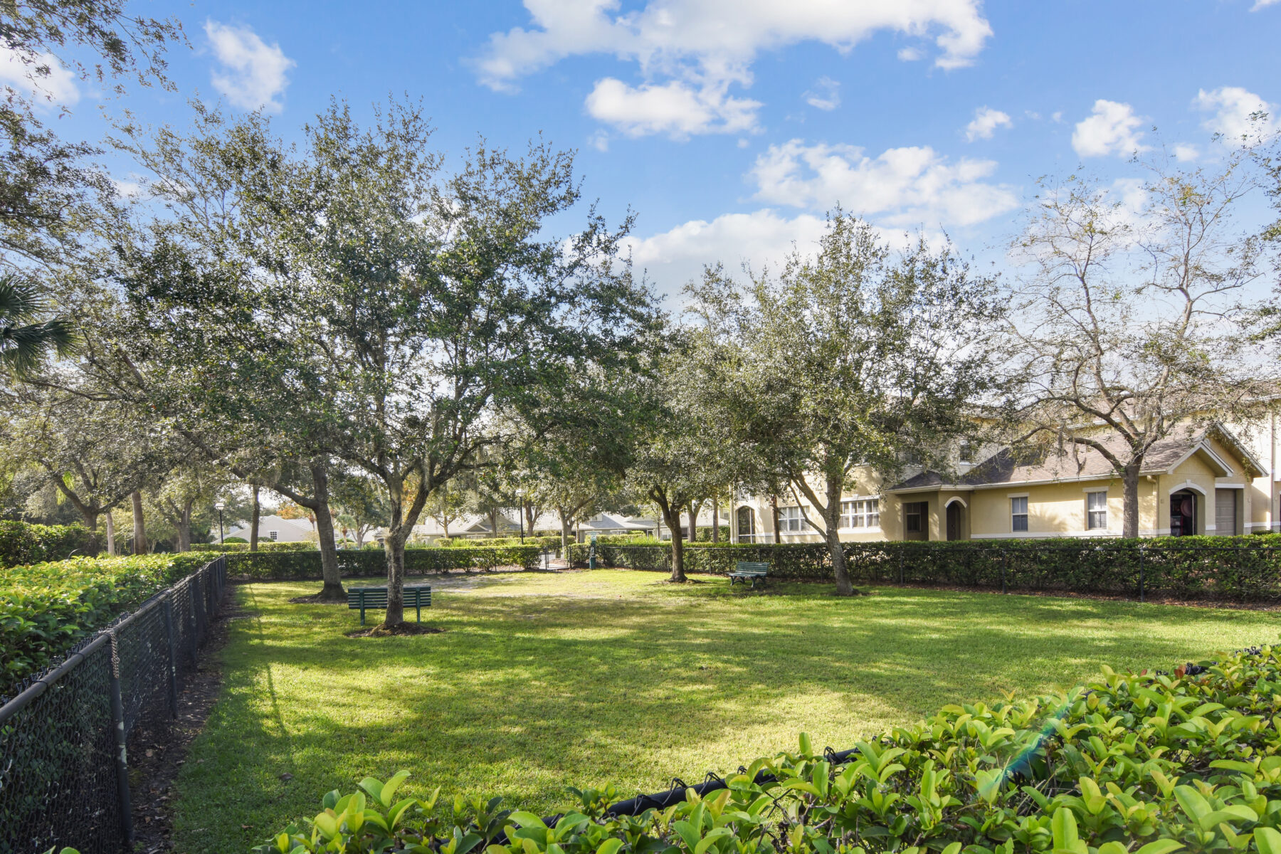 Experience Vibrant Palm Harbor Living at Bell Lansbrook Village