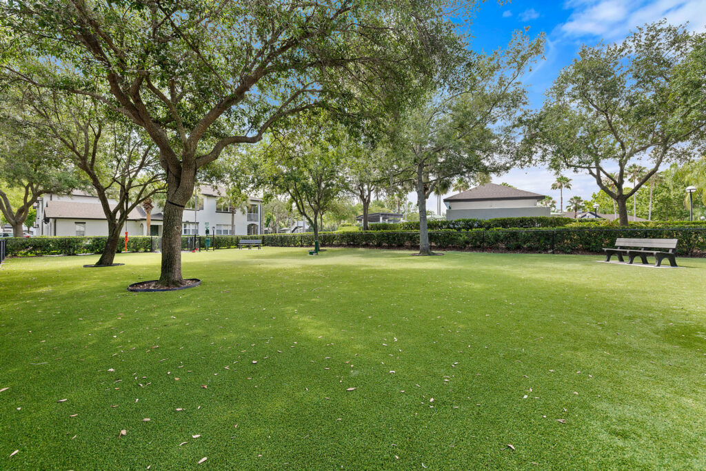 A spacious, grassy park area with large trees providing shade, surrounded by a hedge. Benches and buildings are visible in the background under a bright, partly cloudy sky.